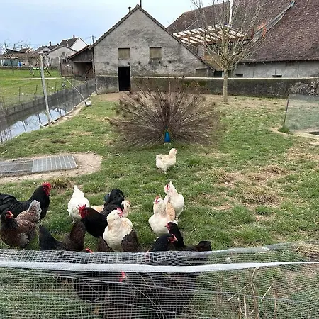 בית נופש Maison Au Sein D'une Ferme Rahling