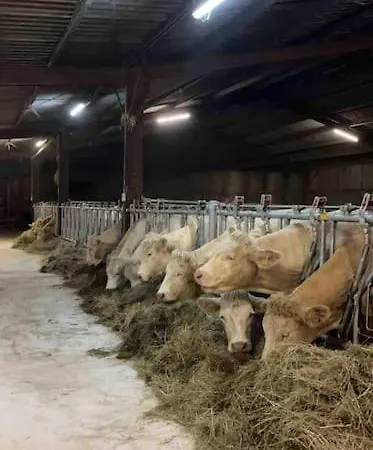 Maison Au Sein D'une Ferme *