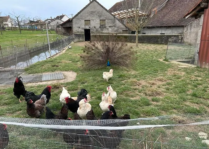 Casa vacanze Maison Au Sein D'une Ferme Rahling
