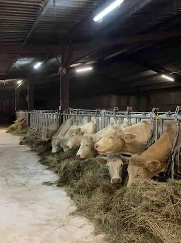 Maison Au Sein D'une Ferme *