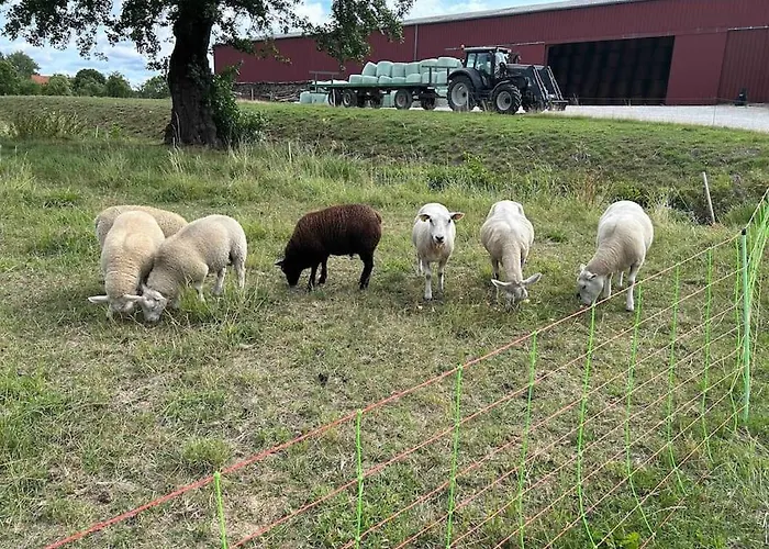 Maison Au Sein D'une Ferme Casa vacanze *